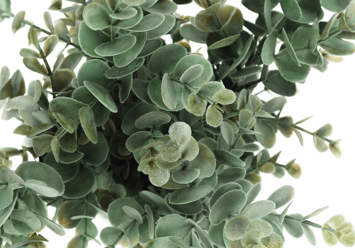 Artificial 13" Eucalyptus And Grass Plant 2 pcs With 4" Pot