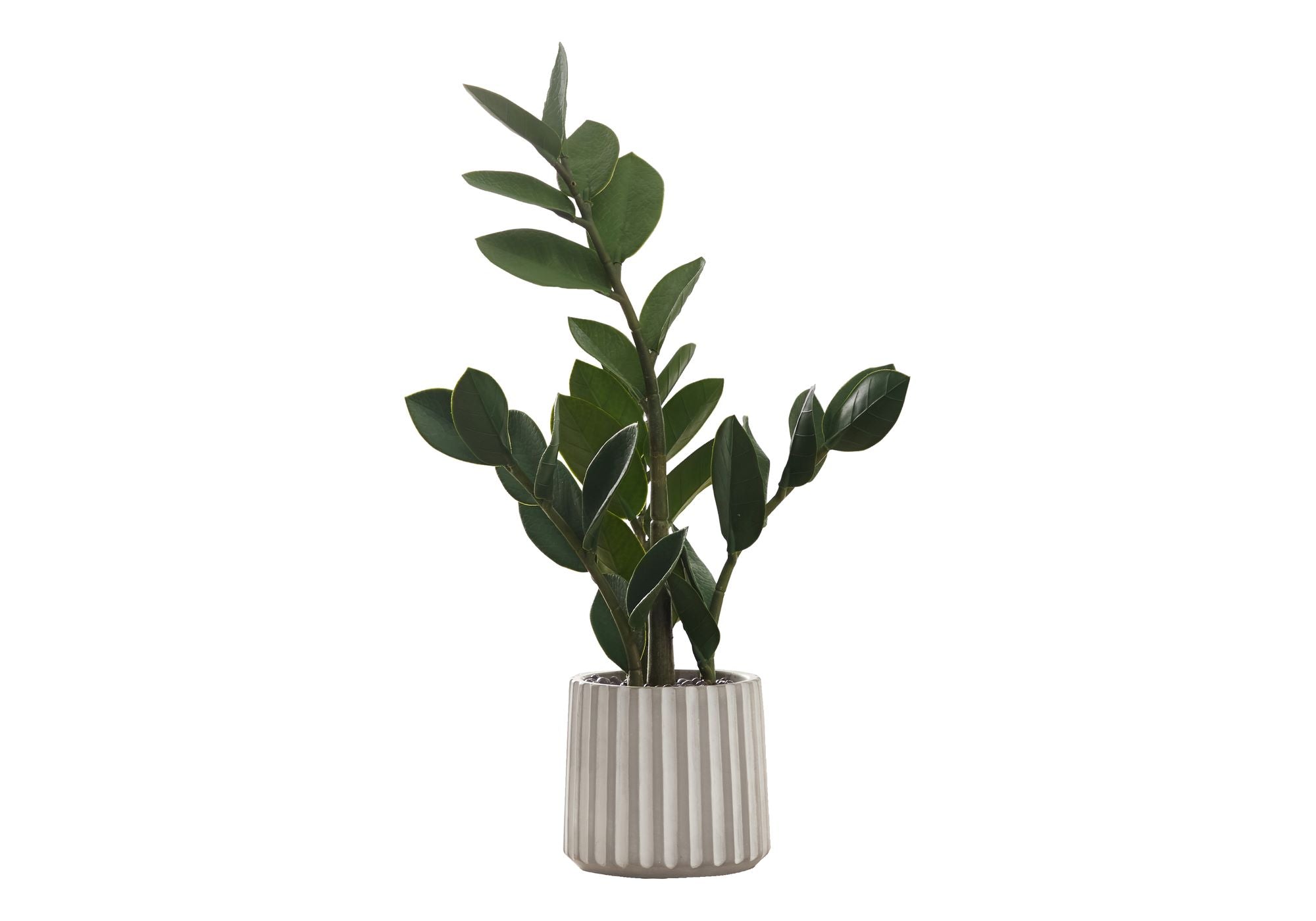 Artificial 20" Indoor ZZ Plant in a 5" Cement Pot I 9500