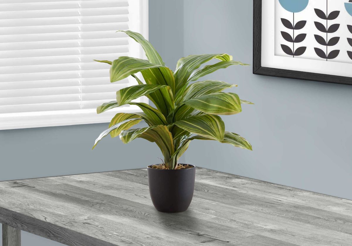 Artificial 17" Dracaena Plant in 4" Pot I 9573