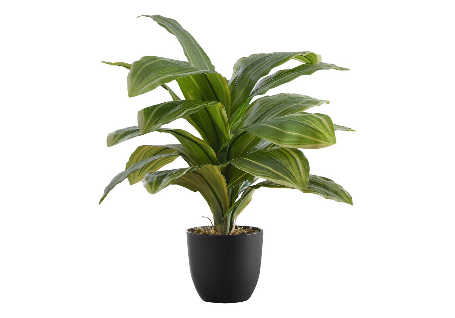 Artificial 17" Dracaena Plant in 4" Pot I 9573
