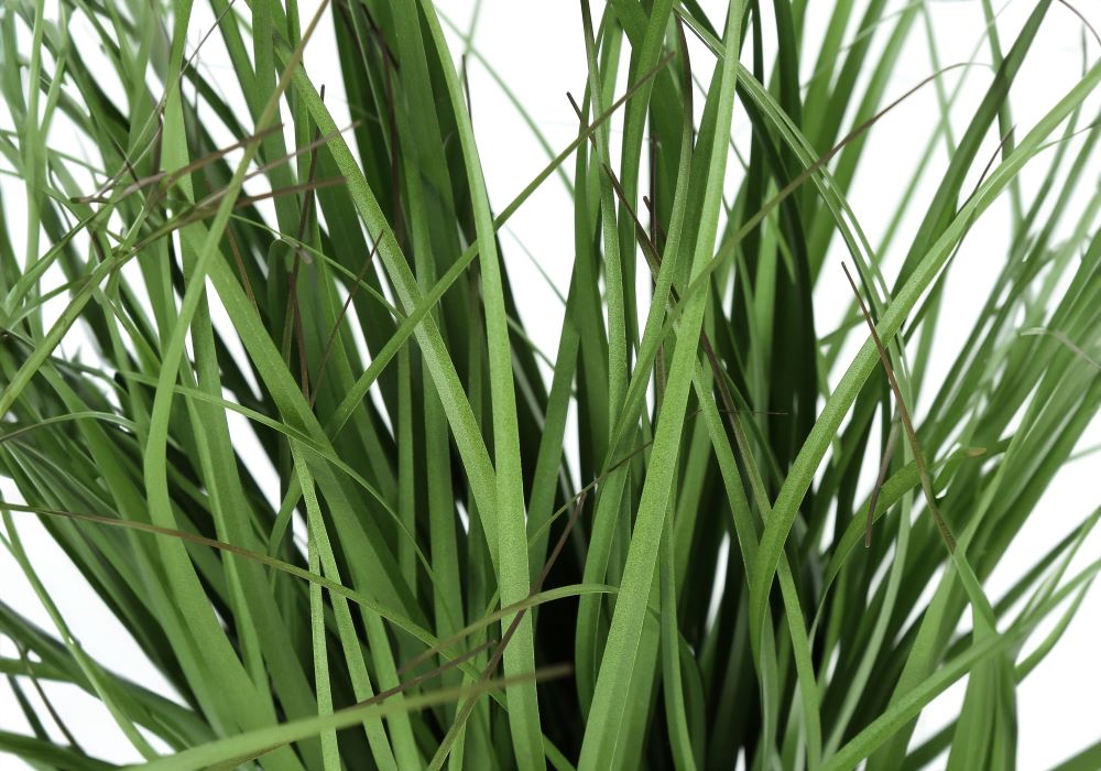 Artificial 23" Indoor Grass Plant in 4" Pot I 9575