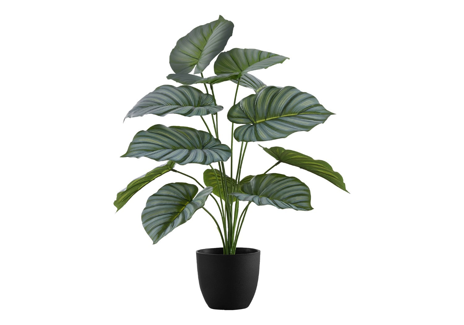 Artificial 24" Indoor Calathea Plant in 5" Pot I 9577